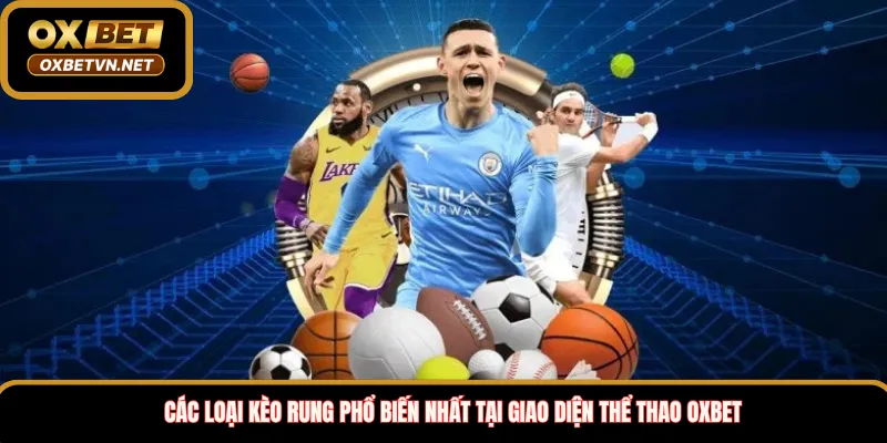 Các loại kèo rung phổ biến nhất tại giao diện thể thao Oxbet