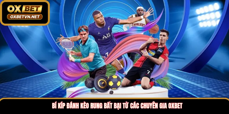 Bí kíp đánh kèo rung bất bại từ các chuyên gia Oxbet